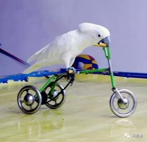 信阳十一自驾游推荐表南湾湖,十一假期旅游推荐信阳自驾游