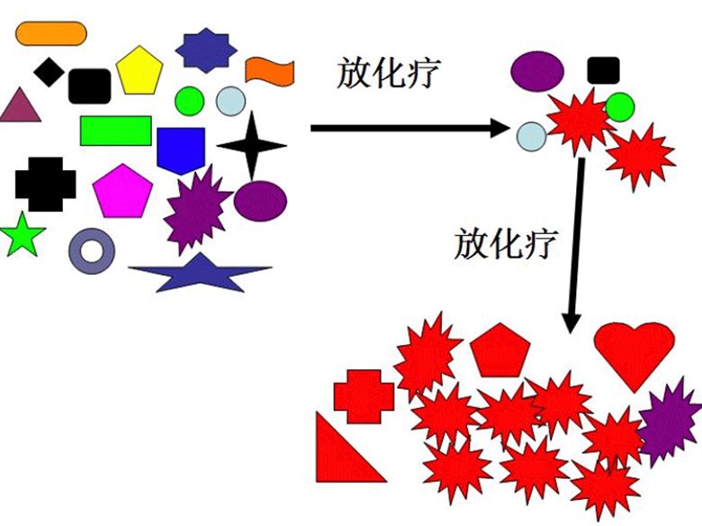 诺贝尔医学奖得主揭露惊人真相,治愈癌症获得诺贝尔奖