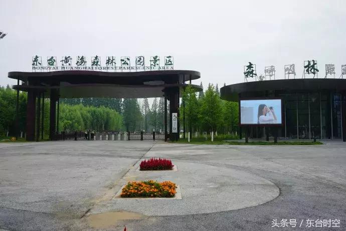 美丽乡村行东台,东台乡村振兴试点村