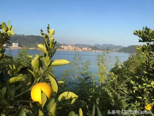 一位大叔改造农村自建房,40多岁大叔改造海景房