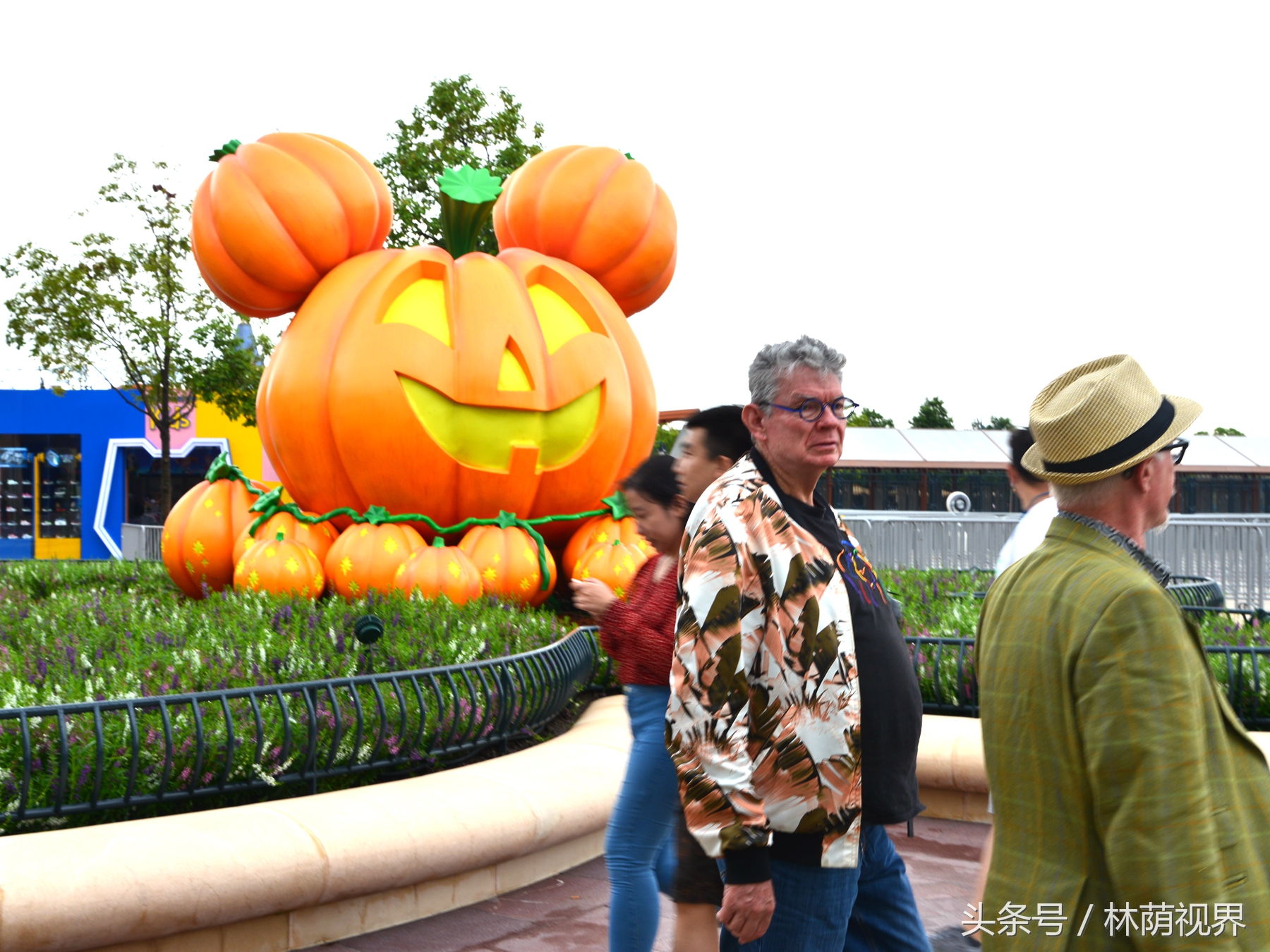 上海深度一日游,浦东金桥镇一日游
