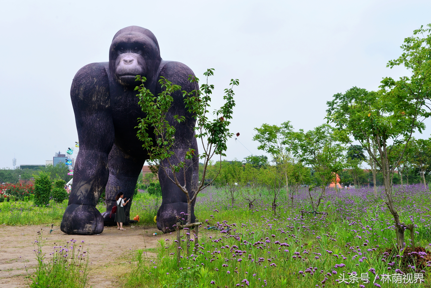 上海深度一日游,浦东金桥镇一日游