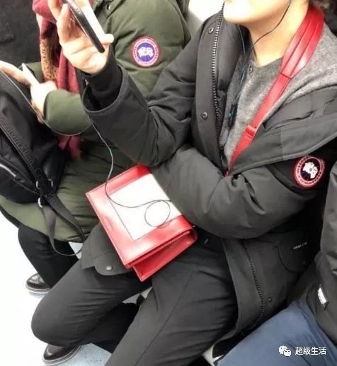 加拿大鹅卖假货,加拿大鹅打架事件