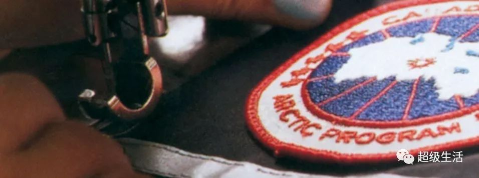 加拿大鹅卖假货,加拿大鹅打架事件