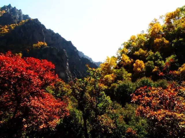呼和浩特哪个沟秋景好,呼和浩特红石崖秋景