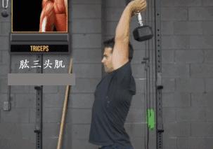 哑铃七天练出肌肉,7个哑铃动作训练全身爆发力