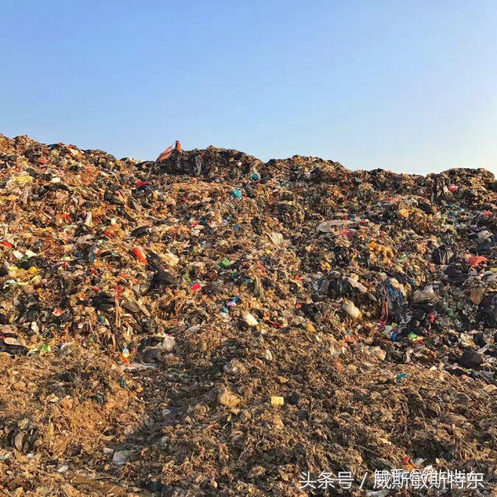 去了上海才知道的20件事,有哪些事情去了美国才知道