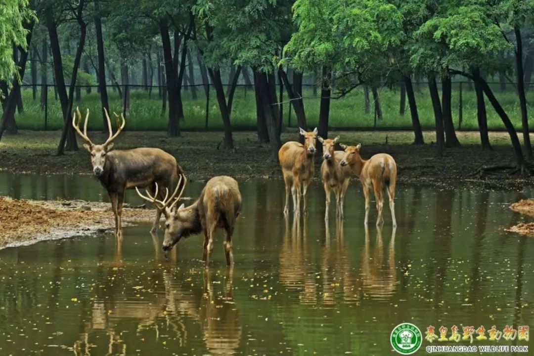 秦皇岛最值得去的旅游景点有哪些,秦皇岛值得玩的地方秋天