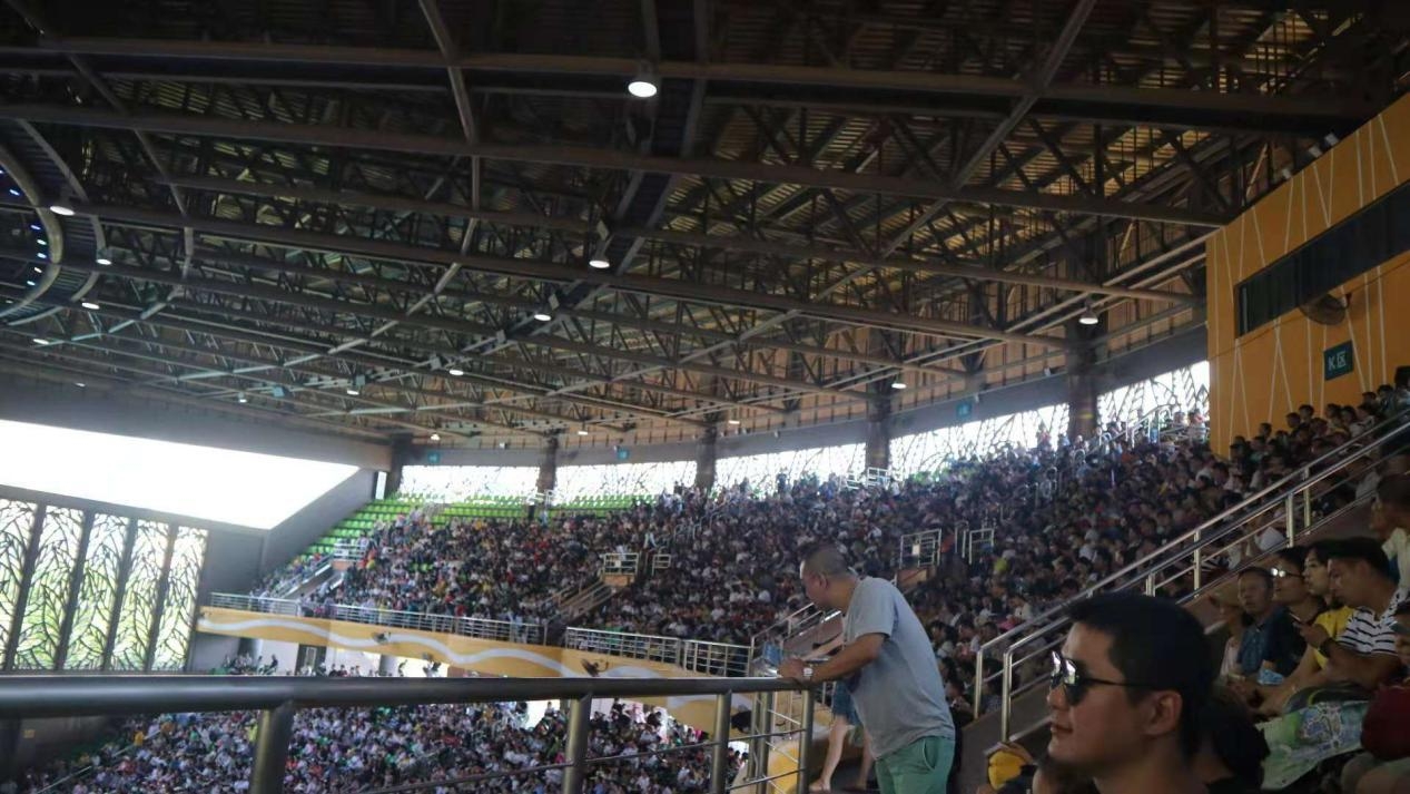 珠海长隆一天游玩攻略手写,珠海长隆游玩攻略免排队