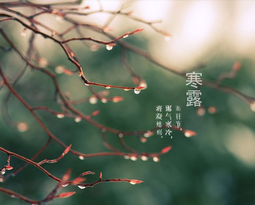 寒露古诗词名句,古诗寒露七言诗句