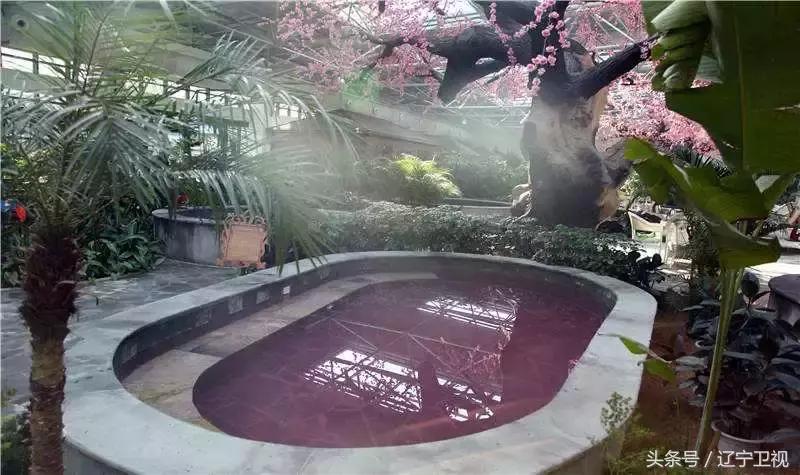 辽宁省纯正的温泉排名前十名如下,全国十佳温泉之辽宁