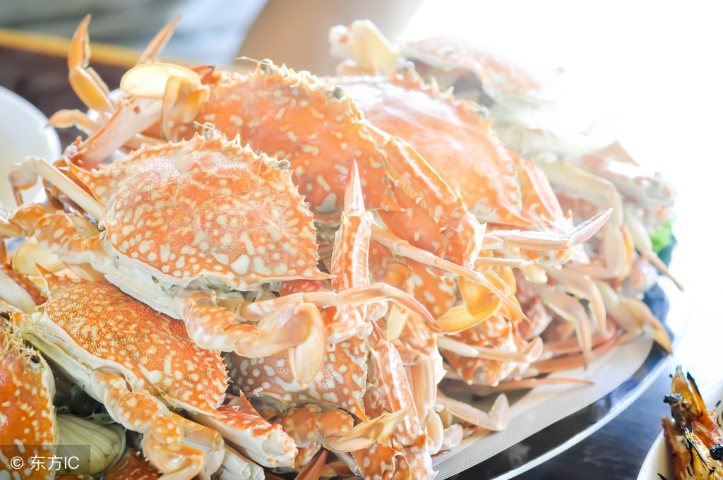 刚死螃蟹放在冷藏还是冷冻,螃蟹怎么存放放冷藏还是冷冻