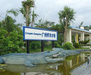 广州鳄鱼公园鳄鱼王,世界上最大的鳄鱼公园
