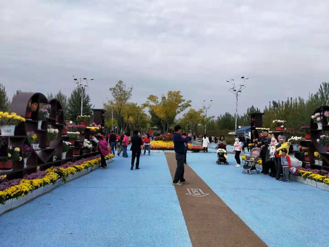 十一银川免费一日游推荐,宁夏十一一日游