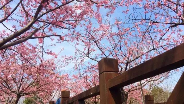 上海地铁的免费景点,上海地铁9号线沿线景点