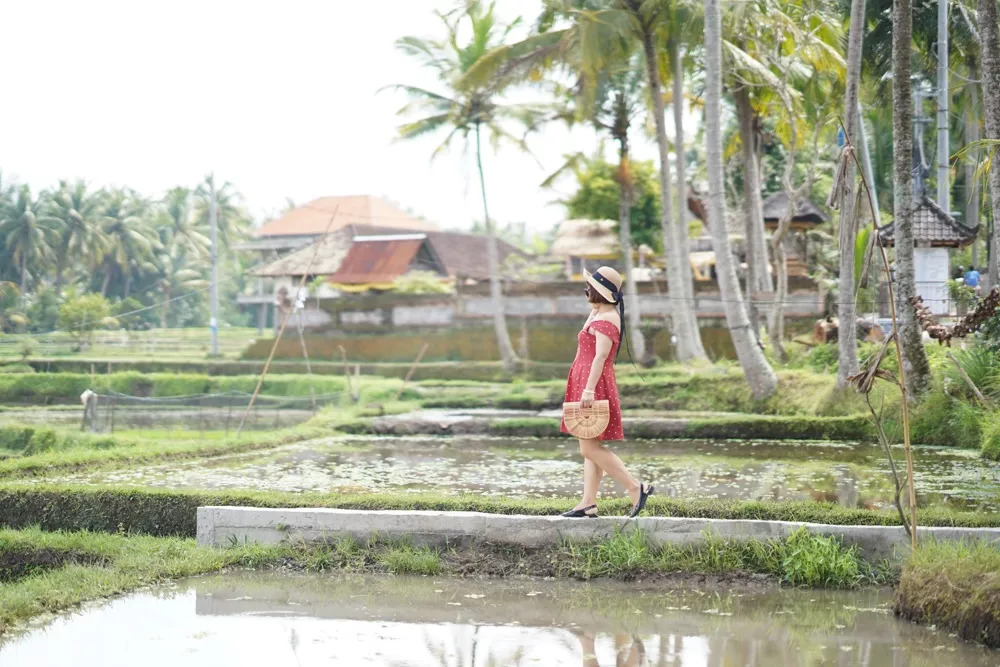 巴厘岛不建议去的地方,巴厘岛的地图