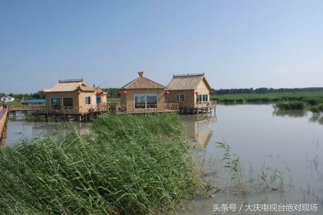 大庆这个城市未来会有发展吗,大庆哪个县发展潜力大