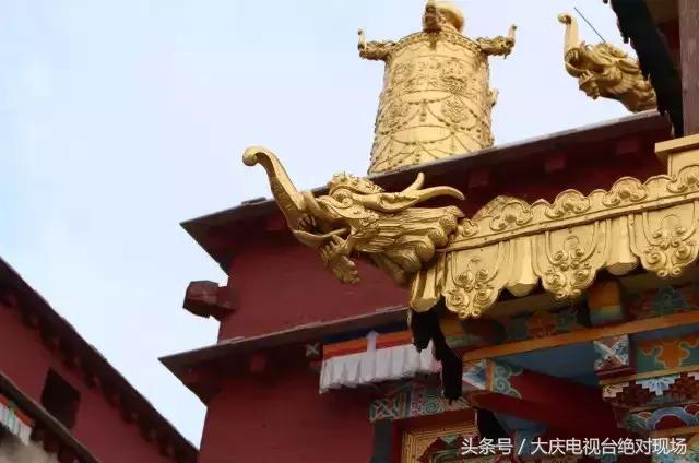 大庆这个城市未来会有发展吗,大庆哪个县发展潜力大