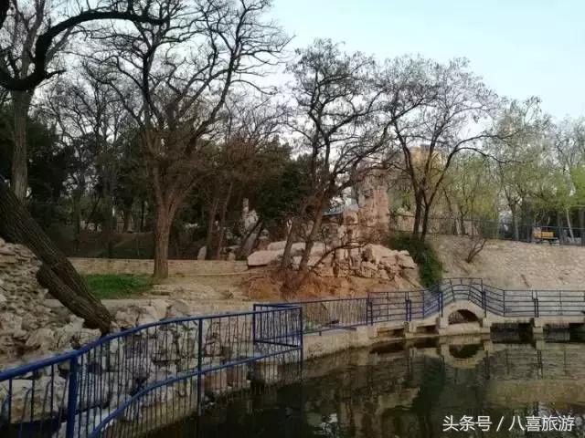 山东什么地方有金矿,国庆怎么玩才有意义