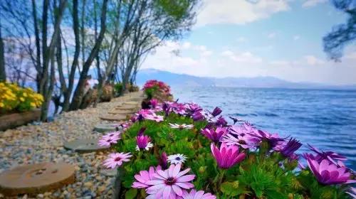 最推荐的大理民宿,这份新会民宿攻略请大家收好