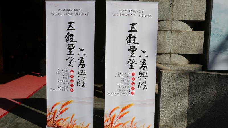 最美不过五谷丰登，丰收与艺术的邂逅！