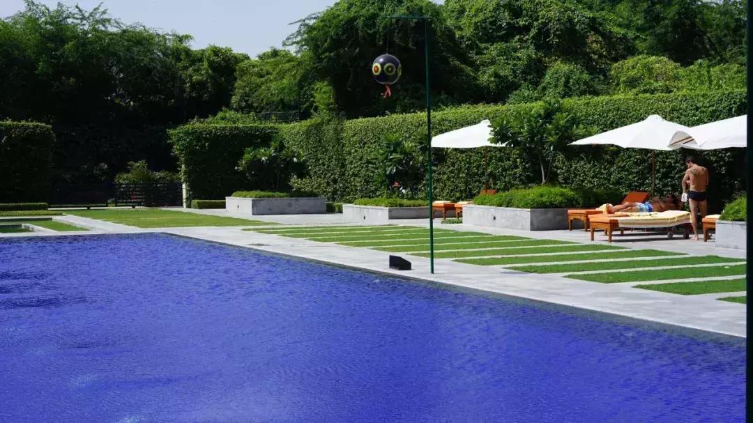 德里寄伦敦｜旅行中的工作逼很可怜，还是遭人嫌？