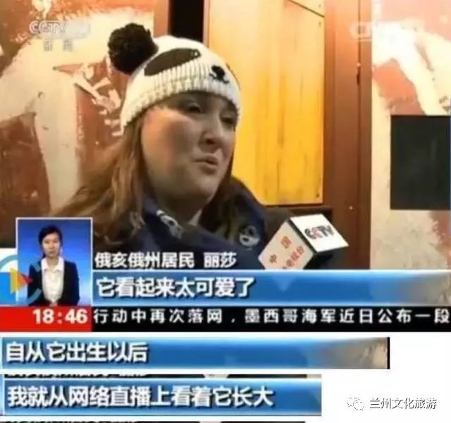 兰州哪里能看大熊猫,兰州能看大熊猫吗