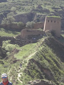 樊梨花生平事迹20字,樊梨花生平事迹