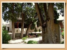 樊梨花生平事迹20字,樊梨花生平事迹