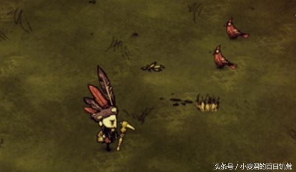 饥荒羽毛帽,饥荒羽毛帽有什么用