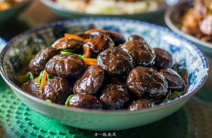 清远英德九州驿站度假村,英德九州驿站自驾游