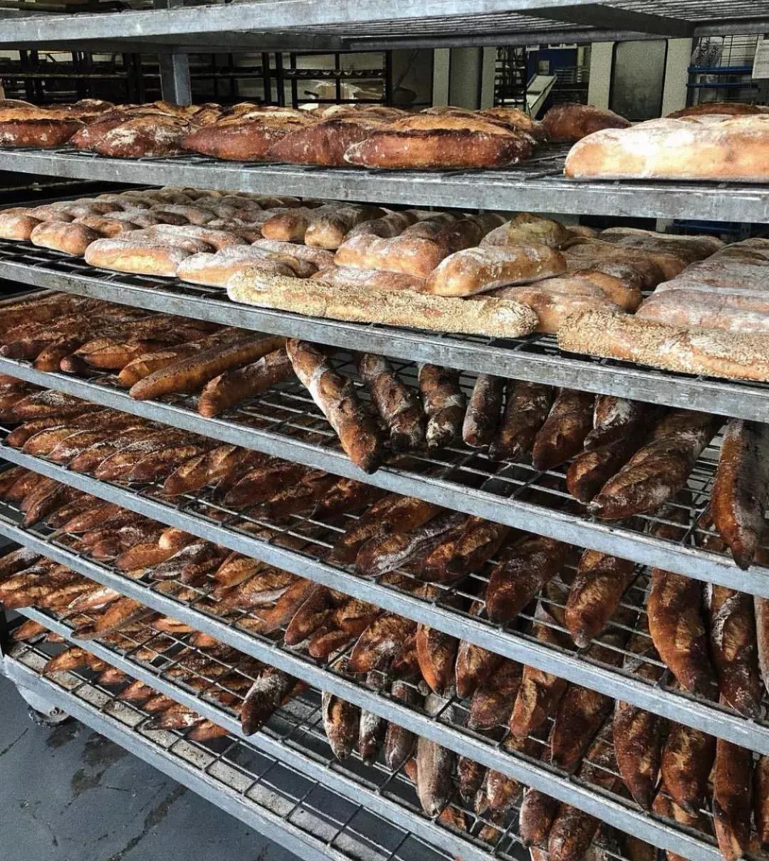 法棍怎么割口最好看,短法棍割口技巧