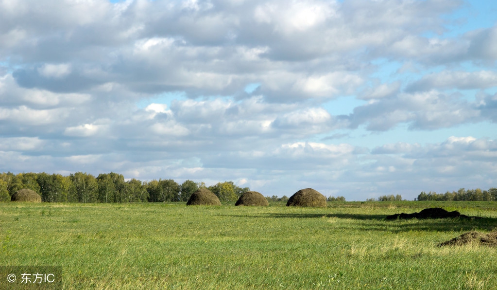 怀孕羊水污染是什么原因,怀孕期间羊水破了有什么影响
