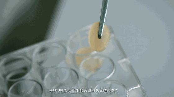 丸美弹力蛋白凝时紧致系列专柜价,丸美胶原弹力蛋白