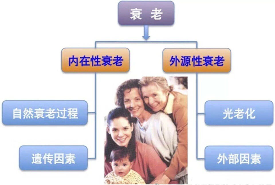 护肤品抗衰老成分,抗衰老护肤品真的能抗衰吗