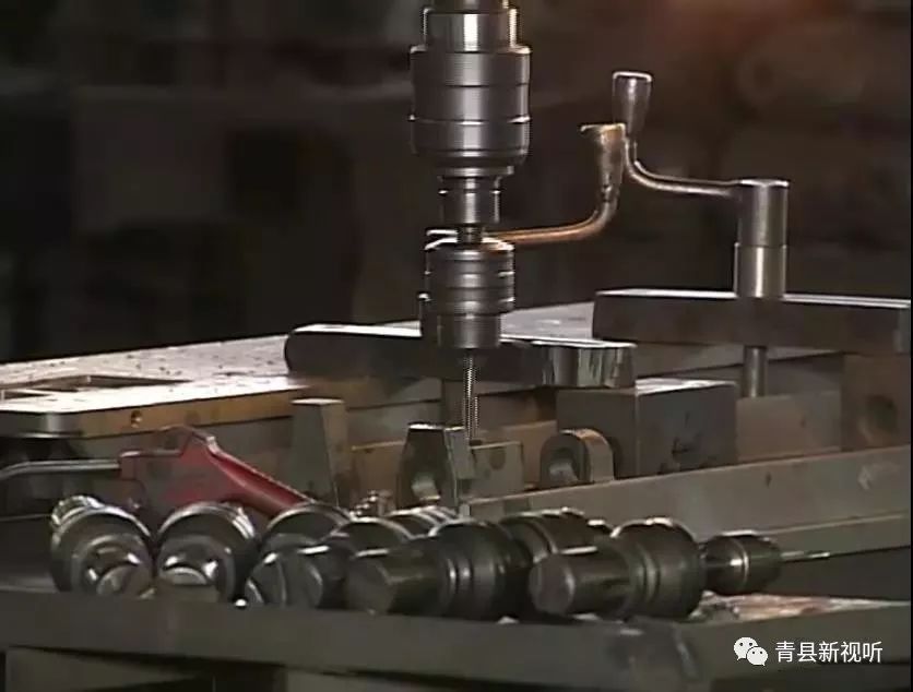 青县道德模范第一届颁奖盛典,第十二届感动蒙城道德模范评选