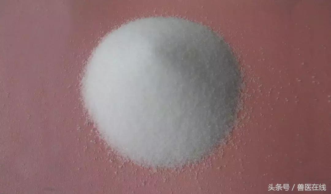 猪场常用5类驱虫药，对“虫”下“药”，方能见效！