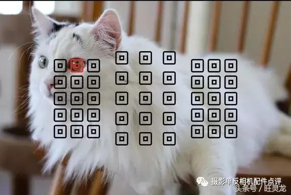 佳能80d最好的三款单反相机,佳能80d镜头18-135和18-200区别