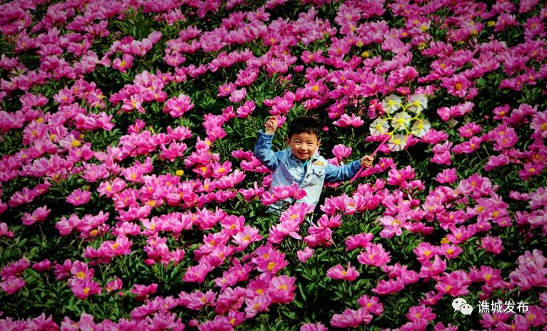 谯城区最美乡村,谯城区美丽乡村图集