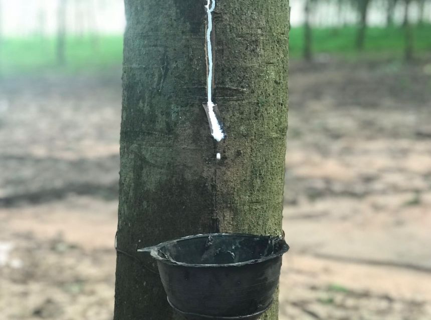 爆改的双倍快乐,清空购物车的福利