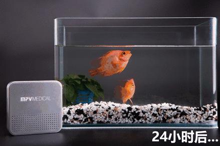 甲醛释放周期3-15年的房,甲醛释放长达3-15年