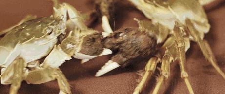 藏在老住宅区里的一家小店,藏在上海市井里的宝藏小店