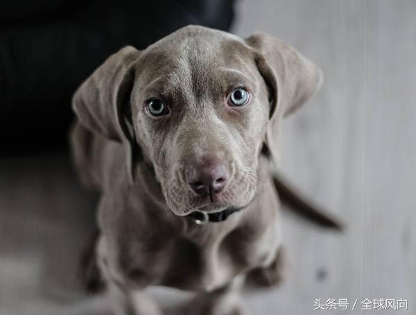 十个有创意赚钱的点子,50个在家赚钱的好点子