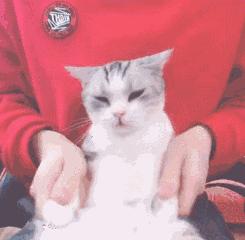 短视频繁荣背后：抖音快手成假货橱窗为微商导流