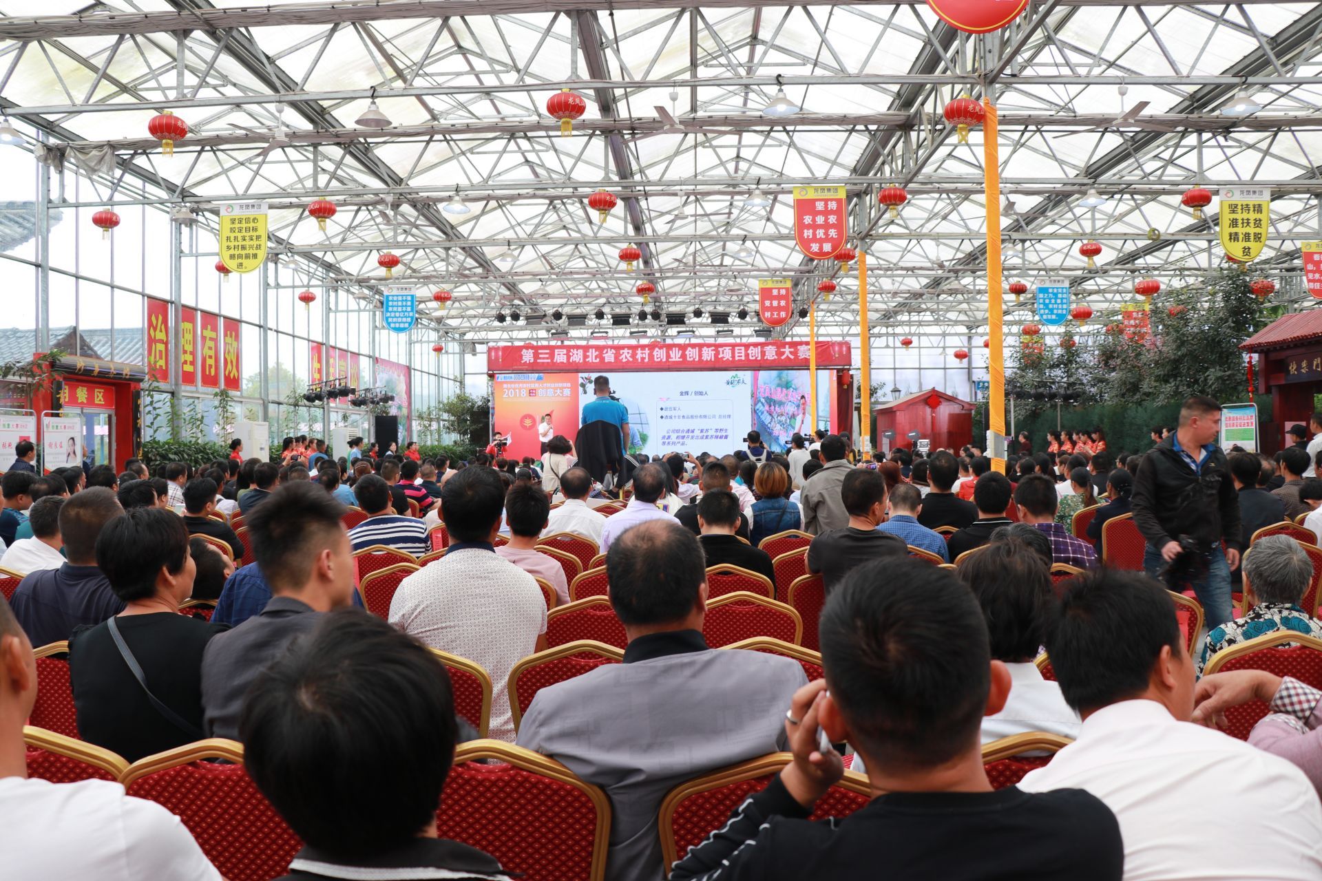 湖北省大学生创新创业项目,咸宁市农村实用人才创新项目