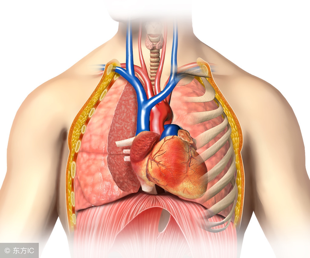 肺心病严重不严重,肺心病会造成什么病