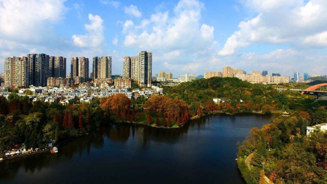 金阳新世界均价从4000元/㎡飙升到14000元/㎡，到底经历了什么？