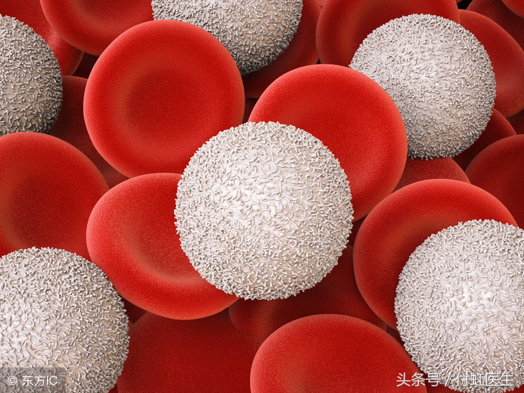 吃什么补血最快小孩,吃什么补血最快推荐8种补血水果