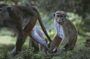 事实证明吃得少确实健康,研究证实长期吃辣