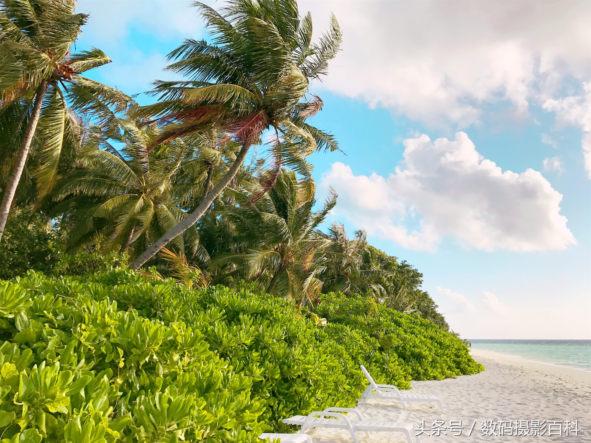 马尔代夫贫民海岛——入乡随俗，与印度夫妇有个约定